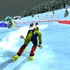 Alpine Ski Master