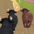 Angry Bull Racing