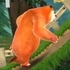 Bears Adventures