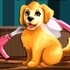 Become a Puppy Groomer