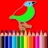 BTS Birds Coloring Book