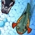 Fish War