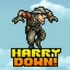 Harry Down