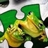 Jigsaw Puzzle Funny Animals