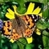 Jigsaw Puzzle: Spring