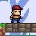 Marco