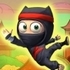 Ninja Ascend