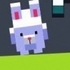 Pet Hop