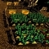 Pixel Farm