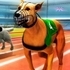 Real Dog Racing Simulator 3D