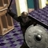 Rome Simulator