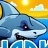 Shark Attack
