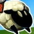 Sheep Road Danger