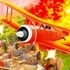 Sky Fighters