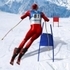 Slalom Ski Simulator